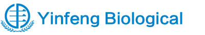 SHANDONG YINFENG BIOLOGICAL