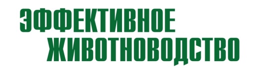 ЭФФЕКТИВНОЕ ЖИВОТНОВОДСТВО, журнал